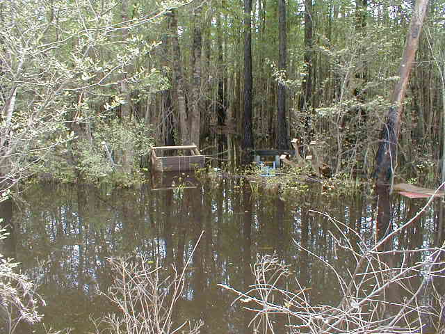 slideshow